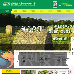 黄骅创鑫牧草种植