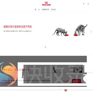 皇家宠物食品
