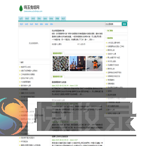 鸣玉曳组网