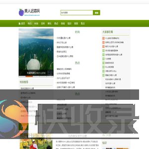 美人迟暮网