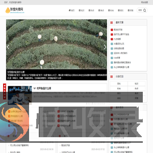 张惶失措网