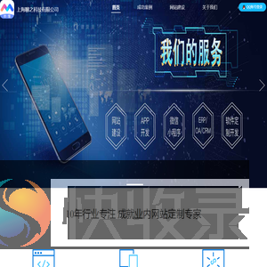 网页定制专家
