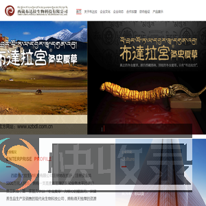成都布达拉市场营销策划有限公司