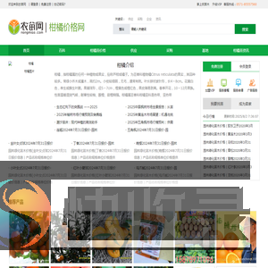 柑橘苗