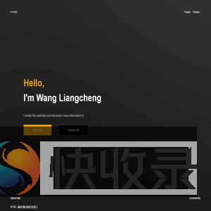 Lancer的个人网站