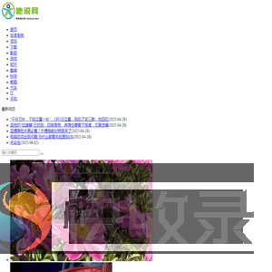 他说网