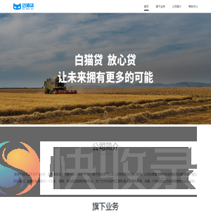 白猫贷