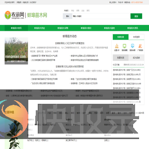 蚌埠苗木