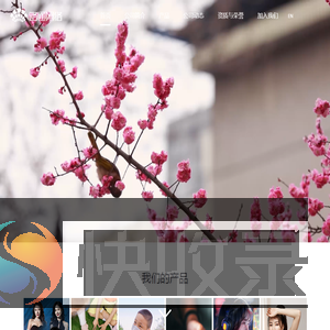 路通网络