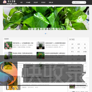 花儿之家