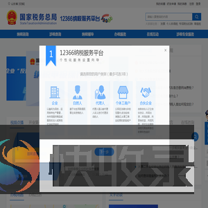 国家税务总局12366纳税服务平台