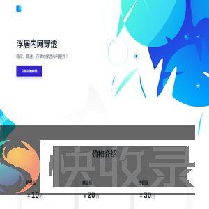 浮居内网穿透