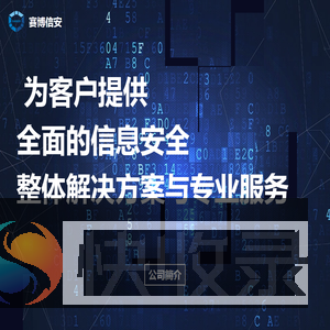 赛博信安