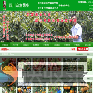 成都天府新区宗富水果种植专业合作社