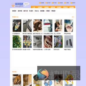 搞笑图片