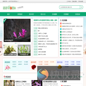 道道花百科
