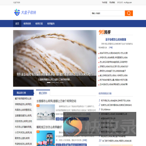大盒子收纳