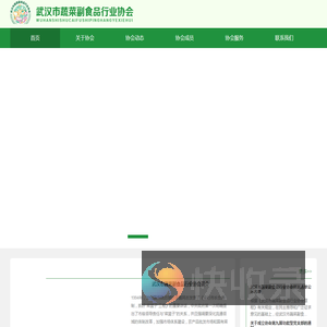 武汉市蔬菜副食品行业协会