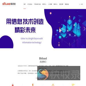 深圳宝龙达信息技术股份有限公司