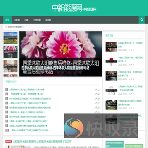 中新能源网