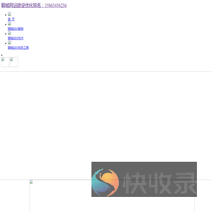 聊城seo
