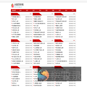 大政方针网
