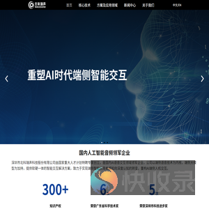 深圳市北科瑞声科技股份有限公司