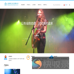 上海两埃三电子有限公司