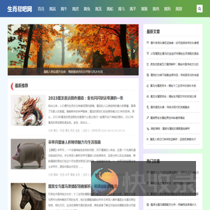 生肖帮吧网