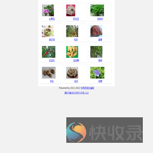 中药药用价值网