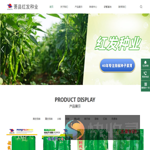 辣椒种子