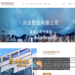 兴业控股有限公司