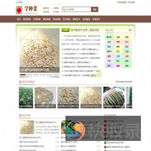 学种菜网