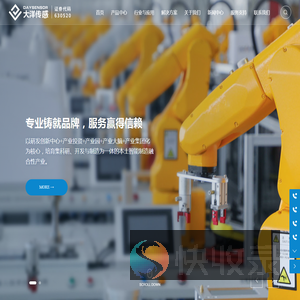 蚌埠大洋传感系统工程有限公司