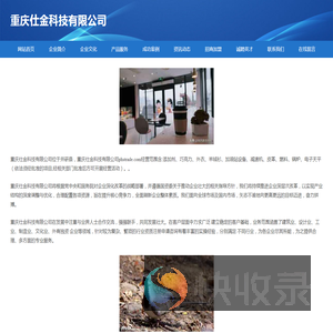 重庆仕金科技有限公司