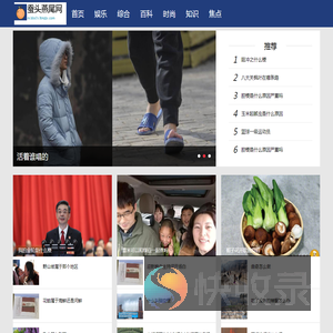 蚕头燕尾网