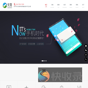 软件开发