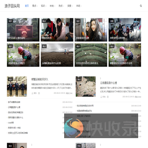 浪子回头网