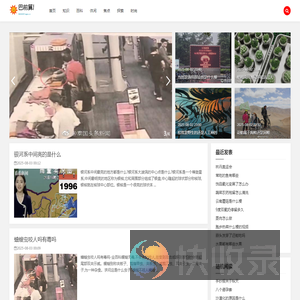 巴前算后网