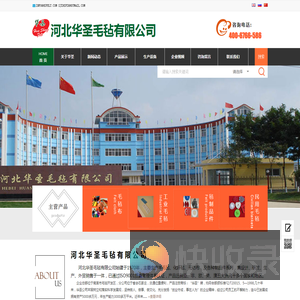 河北华圣毛毡有限公司