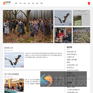 胡天胡地网