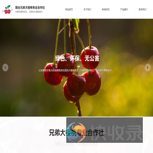 烟台大樱桃,烟台大樱桃树苗,烟台大樱桃苗木合作社,烟台兄弟大樱桃专业合作社