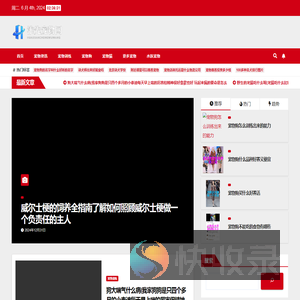 淮先宠物网