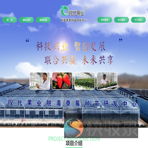 烟台阳光秀,脱毒原原种苗,脱毒生产用苗,脱毒草莓苗,草莓新品种//烟台阳光秀农业科技有限公司