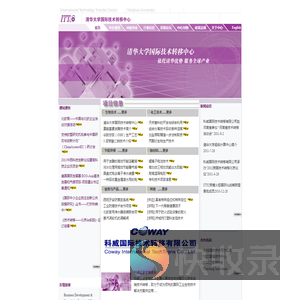 清华大学国际技术转移中心