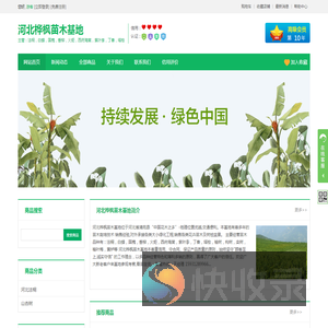 河北法桐