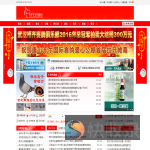中鸽云
