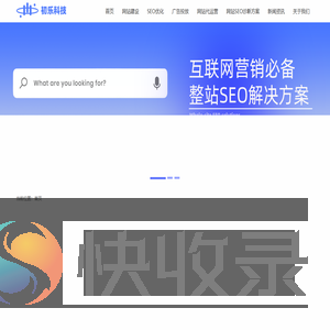 网站SEO优化代运营