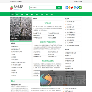 见神见鬼网