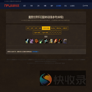 BIS装备查询